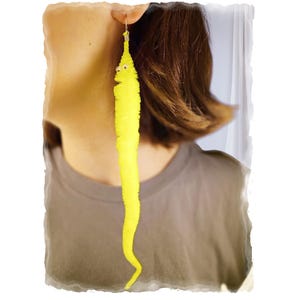 Repurposed Worm on a String Earrings: Novelty Toy Jewelry