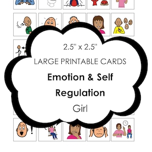 Autism visual aid - LARGE 2.5&quot; x 2.5&quot; printable cards for behavior and self regulation. Can be used on a keyring or visual schedule for girl