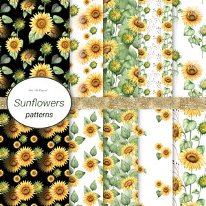 Girassóis Padrões sem costura / Fundo floral / Papel digital de flores / Arte em aquarela / Cartão de felicitações / Scrapbooking / Vibrações de verão