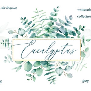 Tropische krans eucalyptusbladeren bloemen botanische aquarel frame PNG groen lommerrijke clipart bruiloft uitnodiging wenskaart afdrukbare