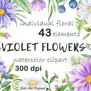 Ensemble de clipart floral violet fleurs sauvages camomille aquarelle éléments individuels feuilles fleurs Clip art faire-part de mariage carte de voeux