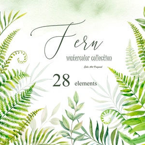 Farn Blätter Zweige Gras Greenery Clipart Aquarell Laub Grünwald Einzelelemente Hochzeitseinladung Scrapbooking