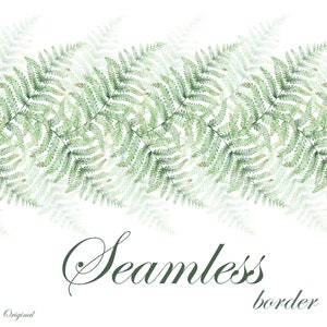 Bordure transparente fougère verte Feuillage Floral fond Botanique Aquarelle cadre PNG JPEG Faire-part de mariage feuillu Carte de voeux Scrapbook