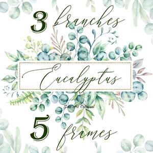 Tropical set Eucalyptus leaves Floral Botanical Watercolor frame PNG Greenery Leafy Clipart Wedding invitation Greeting card printable