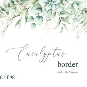 Bordure d'eucalyptus Clipart verdure Floral fond cadre aquarelle botanique PNG JPEG Faire-part de mariage feuillu Carte de voeux Scrapbooking