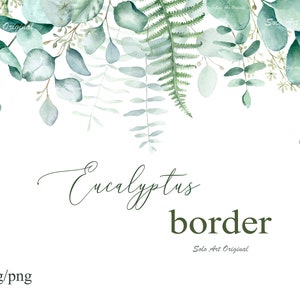 Eukalyptus Umrandung Clipart Grün Floraler Hintergrund Botanischer Aquarell Rahmen PNG JPEG Belaubte Hochzeitseinladung Grußkarte Scrapbooking