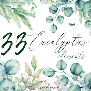 Eucalyptus verdure Clipart aquarelle vert forêt éléments individuels feuilles branches Floral mariage faire-part carte de voeux Scrapbooking