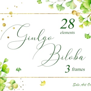 Tropische clipart Ginkgo biloba bloemen krans lommerrijke aquarel bladeren tak bruiloft uitnodiging wenskaart Scrapbooking