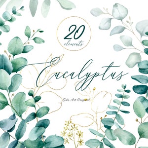 Eucalipto Clipart folhas Folhas azuis Folhagens Aquarela Floresta verde Elementos individuais ramos de folhas Convite de casamento floral Saudação