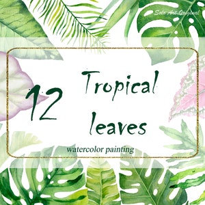Tropische Blätter Monstera Palme Grünpflanzen Blatt Clipart Element png Aquarell Laub Clip Art Hochzeitseinladung Scrapbooking