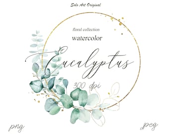 Puede incluir: Ilustración de acuarela de hojas de eucalipto en tonos verdes y dorados, dispuestas en un círculo con un contorno dorado. El texto "floral collection watercolor Eucalyptus 300 dpi png jpeg" está escrito en la imagen.