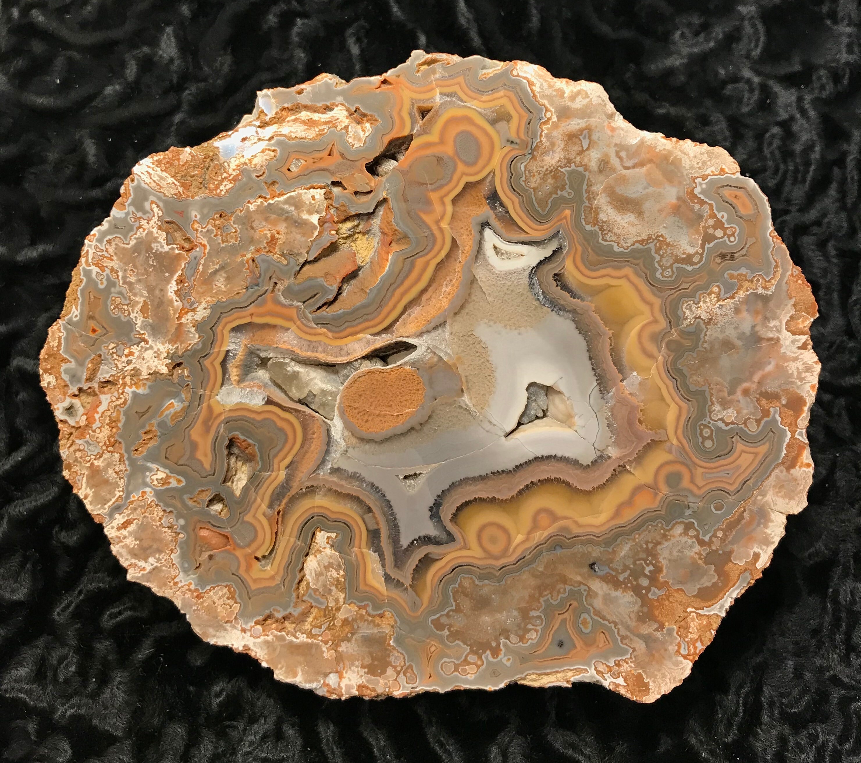 Kentucky Agate Crystal Mineral Specimen 19050 Etsy