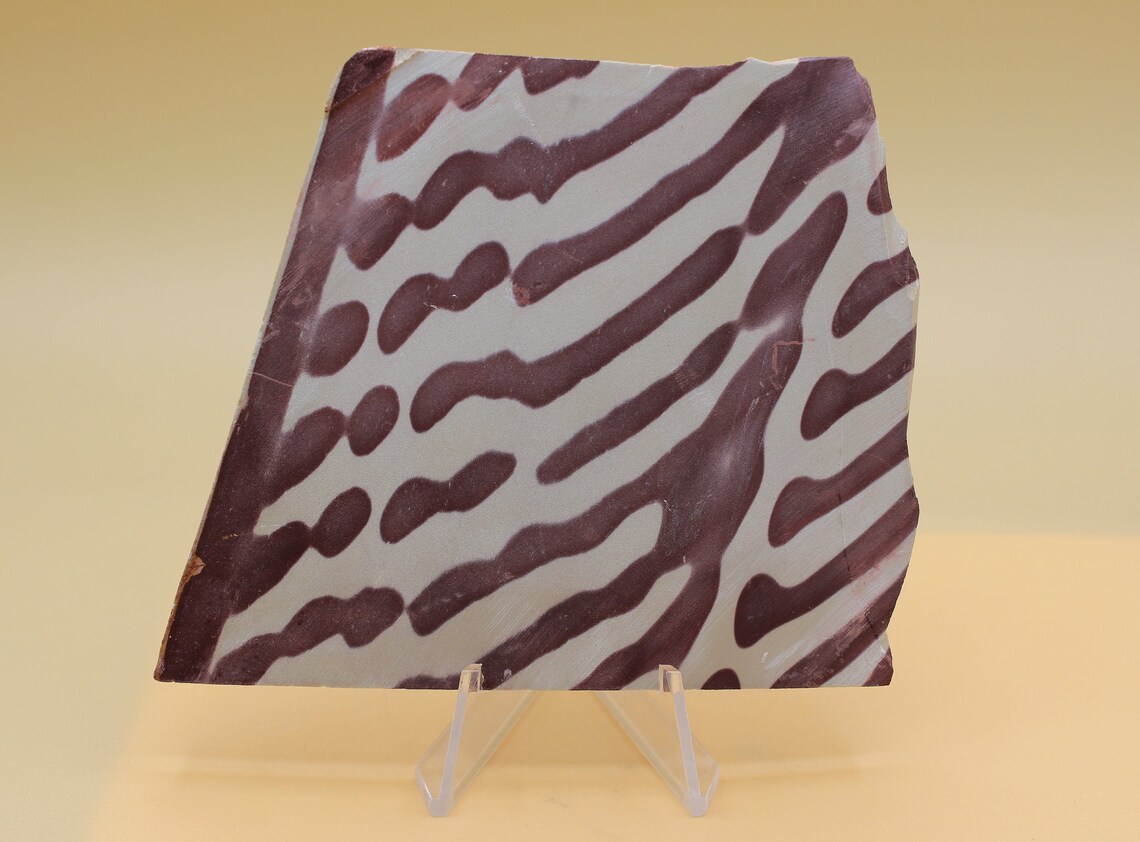 Zebra Stone Slab 2M192E Rare Lapidary Stone Zebra Jasper Zebra Etsy