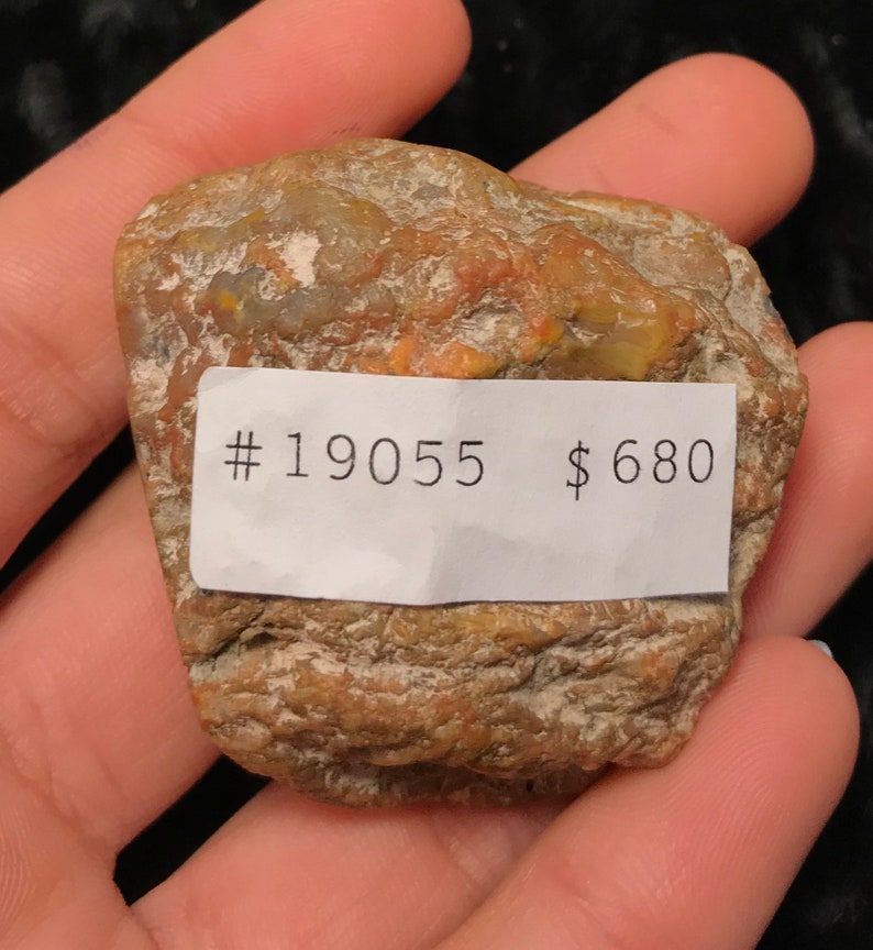 Kentucky Agate Crystal Mineral Specimen 19055 Etsy