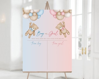 Boy or Girl Sign, Pink and Blue Teddy Bears, Gender Reveal Party