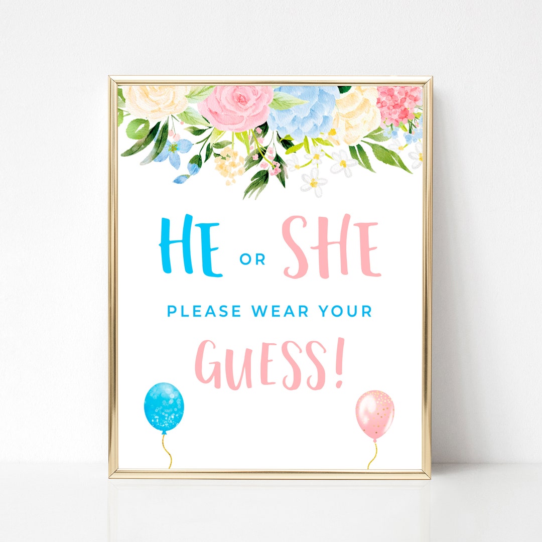 He or She Wear Your Guess, Gender Reveal Guessing Game, Blue and Blush
