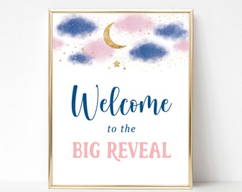 Welcome to the Gender Reveal, Twinkle Little Star Gender Reveal, Navy and Blush Welcome to Big Reveal Banner, Baby Gender Reveal