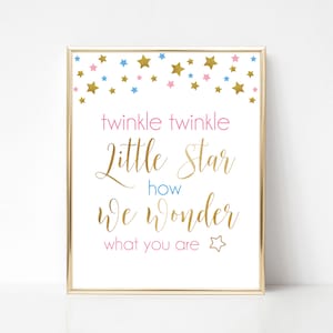 Twinkle Twinkle Little Star How We Wonder What You Are, Genre Reveal Party, Printable Pink and Blue Baby Shower Signs, Star Themed Shower