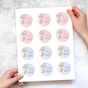 Puede incluir: Hoja de pegatinas redondas con temática de baby shower. Las pegatinas tienen un fondo rosa o azul con el texto "Team GIRL" o "Team BOY", un osito de peluche y un grupo de globos.