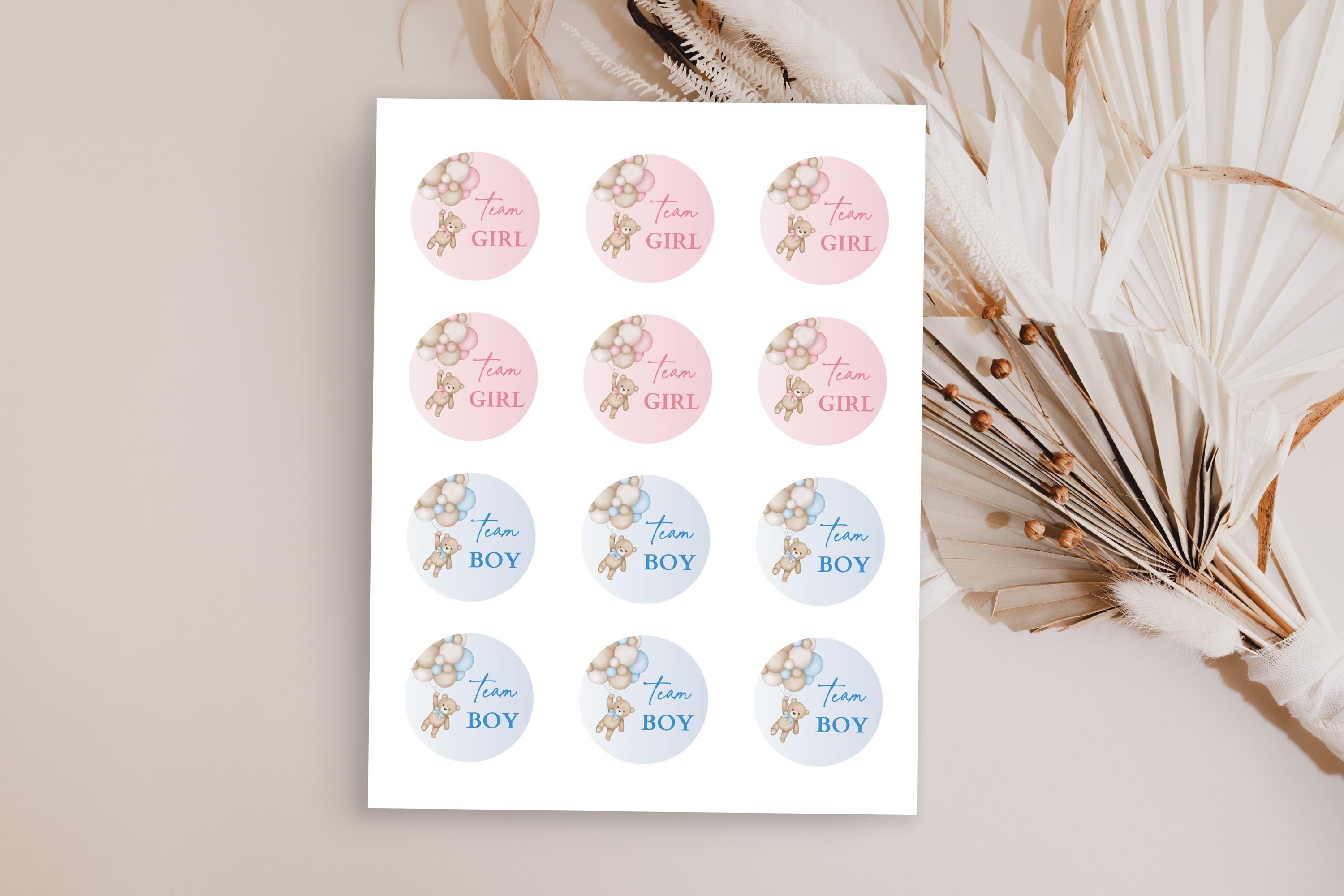 Gender Reveal Stickers Team Boy & Team Girl - 40 Star-Shaped Labels For ...