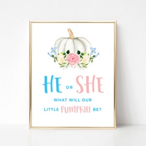 Pumpkin Gender Reveal Sign, He or She What Will Our Little Pumpkin Be, Pumpkin Gender Reveal Welcome Sign