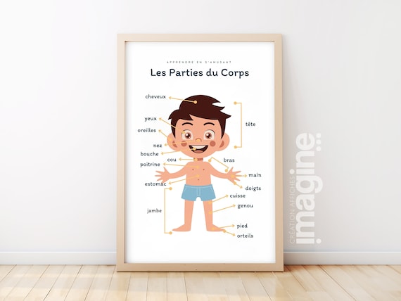 Affiche Les Parties Du Corps Garçon Boy Bouche Pour Chambre Enfant école  Maternelle Primaire Poster Enfant Garçon Et Fille Apprentissage 