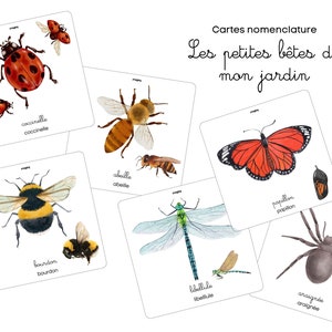 Cartes nomenclature "Les petites bêtes de mon jardin" pour jeu apprentissage  TÉLÉCHARGEMENT INSTANTANÉ numérique IMPRIMABLE 10x10cm