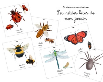 Tarjetas de nomenclatura "Las criaturitas de mi jardín" para el juego de aprendizaje DESCARGA INSTANTE IMPRIMIBLE digital 10x10cm