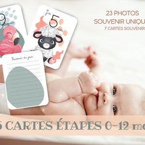 Tarjetas de hitos - 1 semana a 12 meses - Lindos animales selva bosque 0-1 año - Bebé - Familia - Recuerdo - Primeras veces - Mi primer año