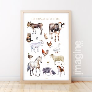 Poster di animali da fattoria – Mucca, asino, gallo, pecora, maiale – Poster educativo sugli animali – Decorazione per bambini e adolescenti