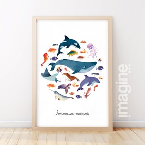 Póster animales marinos Animales marinos ballena delfín foca caballito de mar raya pez