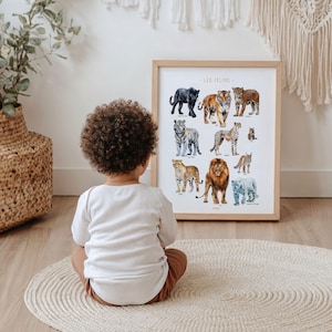 Poster di gatti selvatici – Leone, tigre, ghepardo, leopardo – Poster educativo sugli animali – Decorazione per bambini e adolescenti