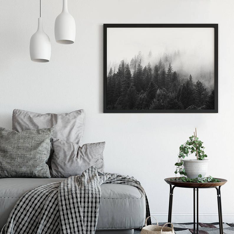 May include: Black and white photograph of a foggy forest with tall trees. The photo is framed in a black frame and hanging on a white wall.
