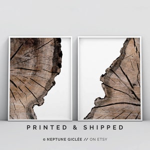 Wall Art Prints, Tree Rings Print, Set of 2 Prints, Modern Art, Minimalistic Large Wall Art, 2 Piece Posters, Wood Prints, Log Slice Art