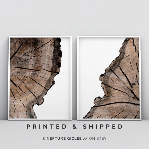 Wall Art Prints, Tree Rings Print, Set of 2 Prints, Modern Art, Minimalistic Large Wall Art, 2 Piece Posters, Wood Prints, Log Slice Art