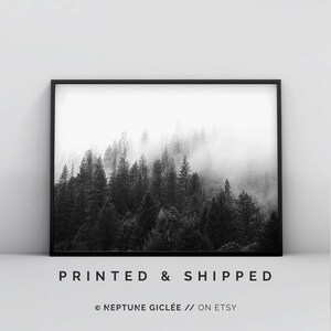 May include: Black and white photograph of a foggy forest. The trees are tall and slender, and the fog is thick and swirling. The image is framed in a black frame.