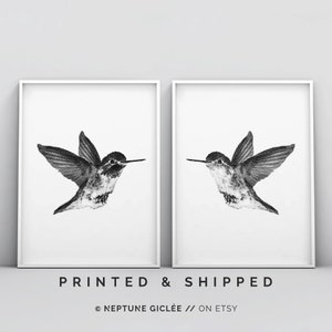 2 Piece Hummingbird Print, Bird Art, Bird Print, Hummingbird Wall Art, Minimalist, Black and White Drawing, Illustration Art, Stipple Poster