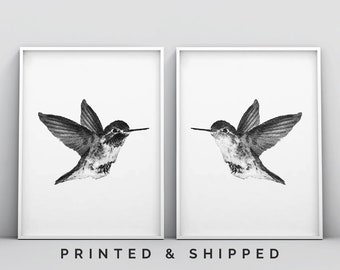 2 Piece Hummingbird Print, Bird Art, Bird Print, Hummingbird Wall Art, Minimalist, Black and White Drawing, Illustration Art, Stipple Poster