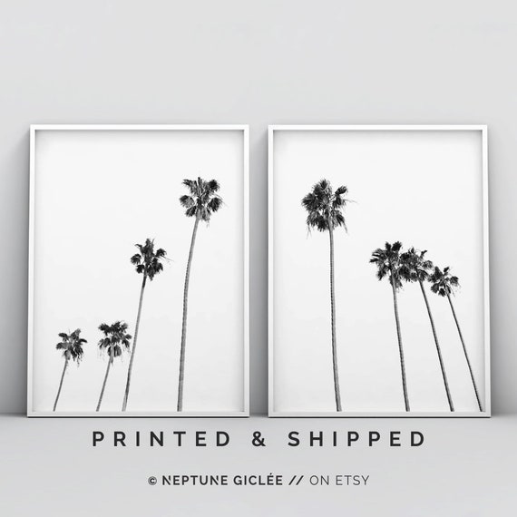 Black and White Palm Trees Print, Black and White Tropical Tree Print, 2 Piece Wall Art, Palm Trees Wall Art, Palm Tree Photo Tropical Decor