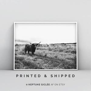 Black and White Cow Print, Modern Cow Art, Highland Cattle, Scottish Cow, Landscape Print, Nursery Wall Art, Minimal Poster, Woodland Decor