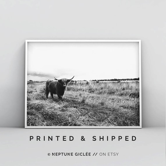 Black and White Cow Print, Modern Cow Art, Highland Cattle, Scottish Cow, Landscape Print, Nursery Wall Art, Minimal Poster, Woodland Decor