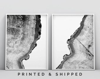 Arte de pared minimalista, impresión de anillos de árboles, juego de 2 impresiones, impresiones de arte en blanco y negro, arte de pared grande, pósteres de 2 piezas, impresiones en madera, rebanada de tronco
