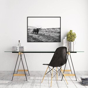 May include: Black and white photograph of a Highland cow standing in a field. The cow is facing the camera and has its head slightly tilted. The photo is framed in a black frame and hanging on a white wall above a desk.