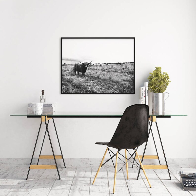 May include: Black and white photograph of a Highland cow standing in a field. The cow is facing the camera and has its head slightly tilted. The photo is framed in a black frame and hanging on a white wall above a desk.