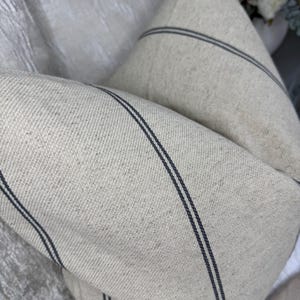 May include: Close-up of two beige throw pillows with dark blue stripes. The pillows are made of a textured fabric and are folded over each other. The pillows are a neutral color and would complement any decor.