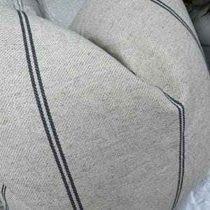May include: Close-up of two beige throw pillows with dark blue vertical stripes. The pillows have a textured, woven appearance, suggesting a linen or cotton fabric. The stripes run along the length of the pillows, adding a simple, yet elegant design element.