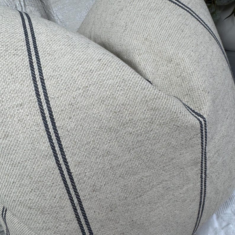 May include: Close-up of two beige throw pillows with dark blue vertical stripes. The pillows have a textured, woven appearance, suggesting a linen or cotton fabric. The stripes run along the length of the pillows, adding a simple, yet elegant design element.