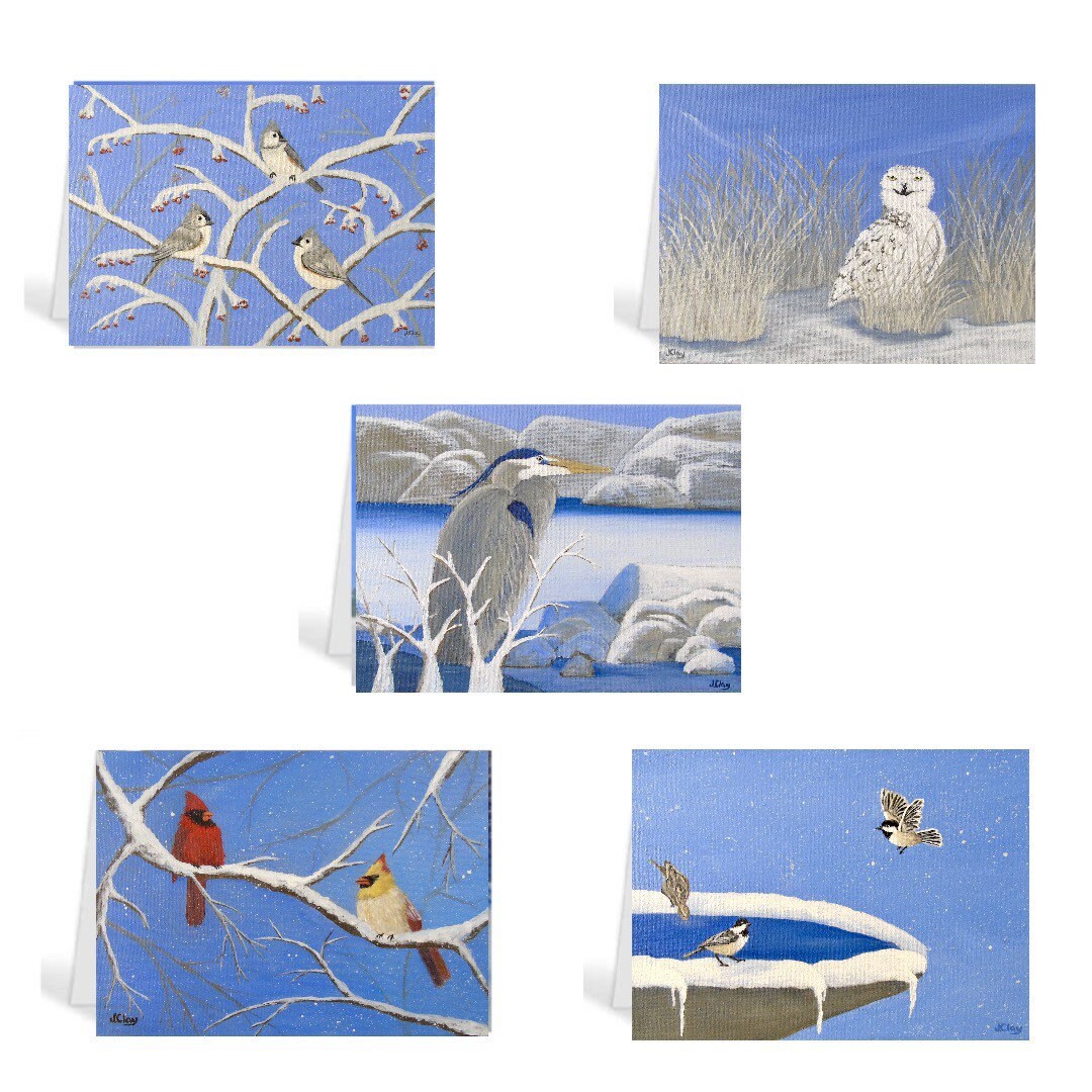 Winter Bird Christmas Cards – Holiday Greeting Card Set, Snowy Bird ...