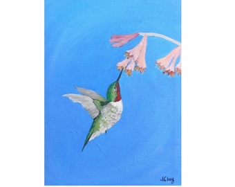 Ruby-Throated, Hummingbird Painting, Bird Art, Nature Art, Garden Art, “Joyful Hummingbird" 5x7  by Jacquie Clay