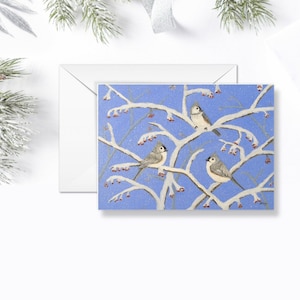 Carte de voeux de Noël et des fêtes, oiseaux d'hiver // « Tufted Titmouse Fun » par Jacquie Clay. Cape Cod, Massachusetts